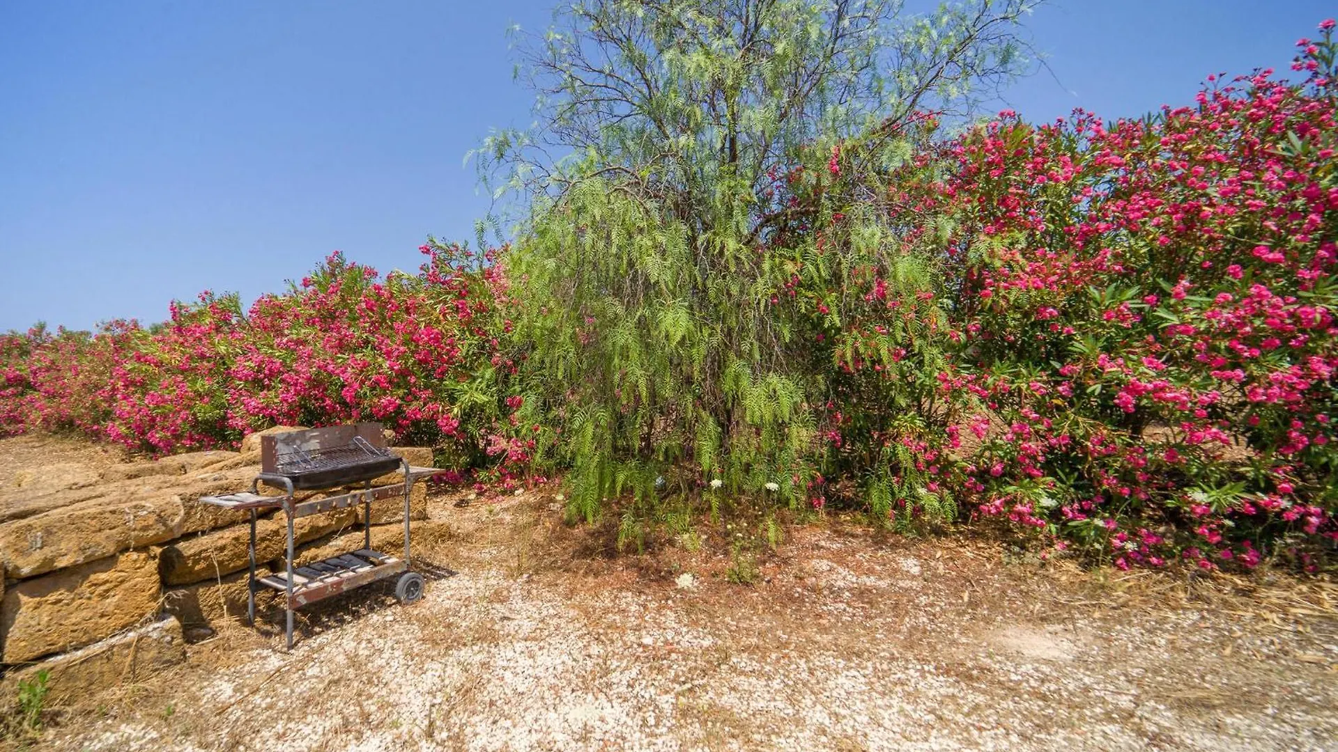Tatil Evi Baglio Mediterraneo Borgo Bonsignore İtalya
